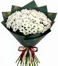 Букет цветов из:  Хризантемы #REPLACE_PRED# Уке