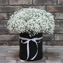 Цветочная композиция из Гипсофила в шляпной коробке в Уке