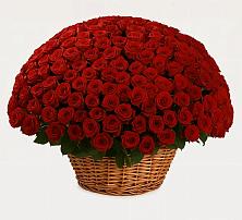 Премиум букет из: Розы в Уке